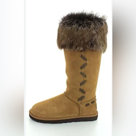 UGG AUSTRALIA Rosana Women’s Suede Waterproof Chestnut Mid Calf Boots 1008044 - Picture 6 of 12